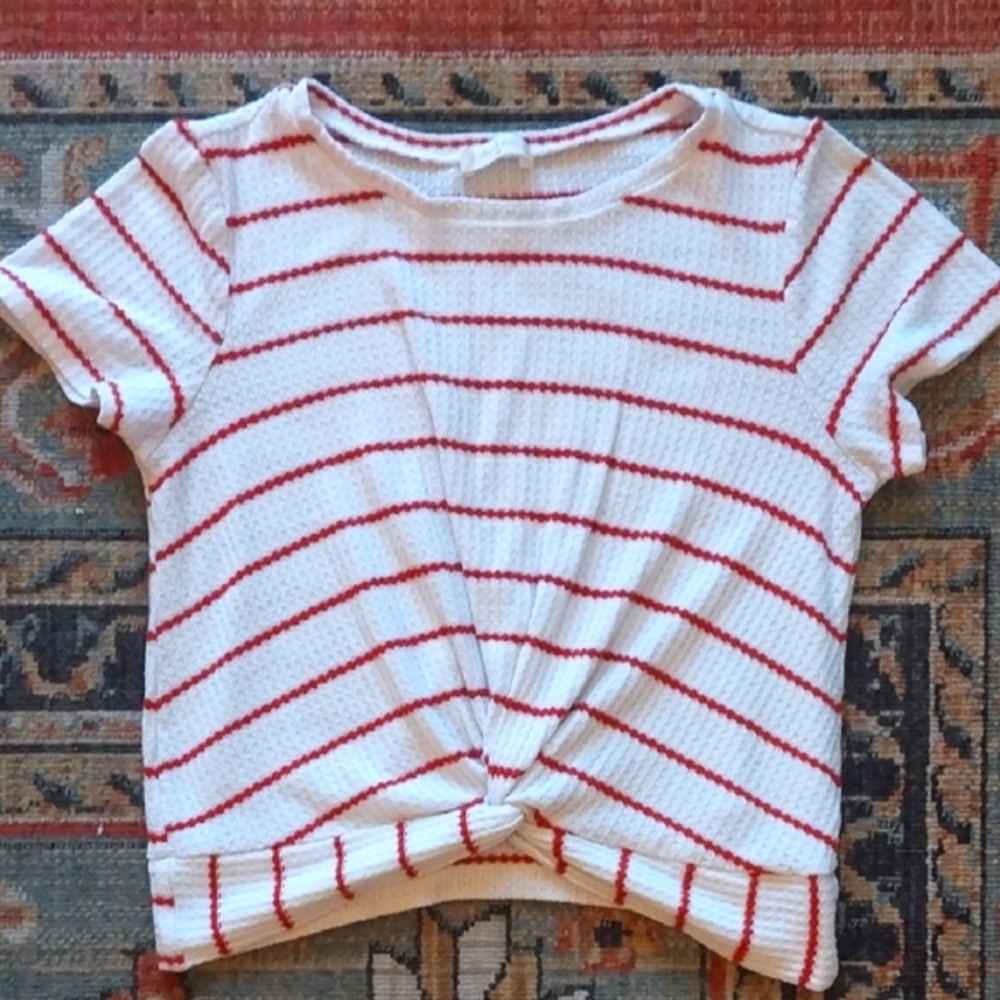 Altar'd State Red and White Striped Crop Top